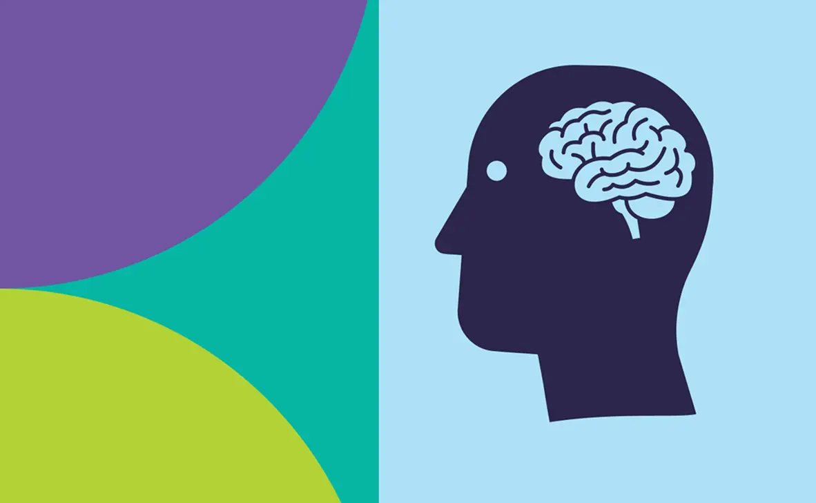 Illustration of a human head in profile showing the brain